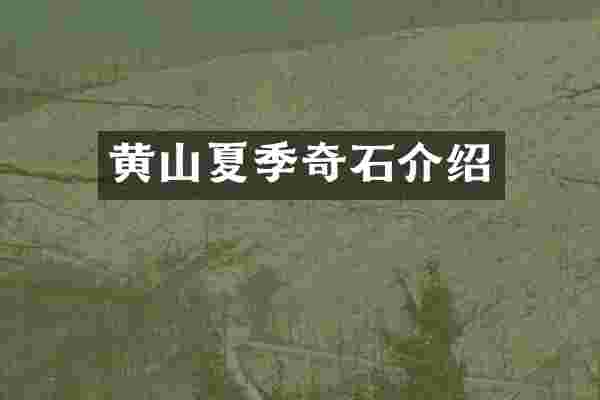 黄山夏季奇石介绍