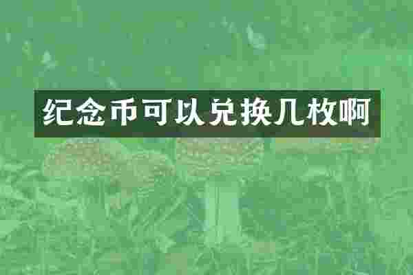纪念币可以兑换几枚啊