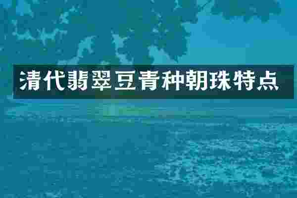 清代翡翠豆青种朝珠特点