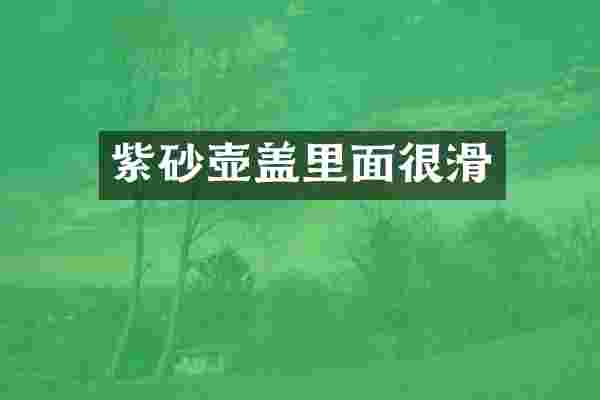 紫砂壶盖里面很滑