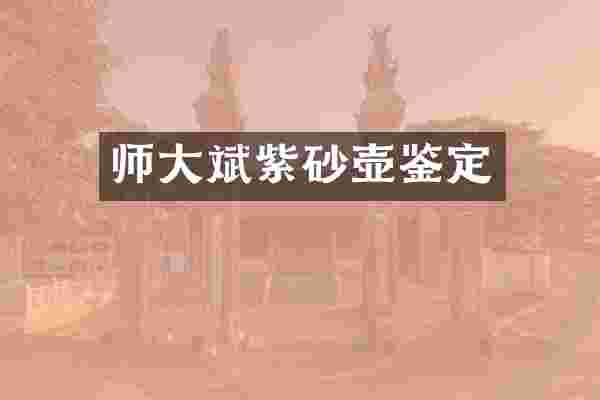 师大斌紫砂壶鉴定