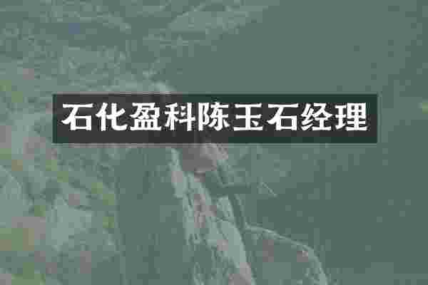 石化盈科陈玉石经理