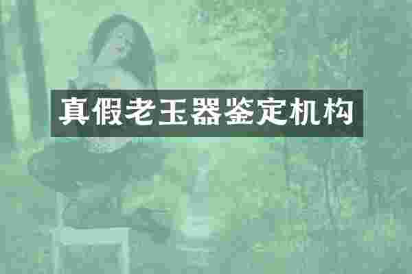 真假老玉器鉴定机构