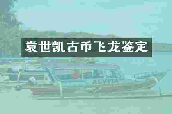 袁世凯古币飞龙鉴定