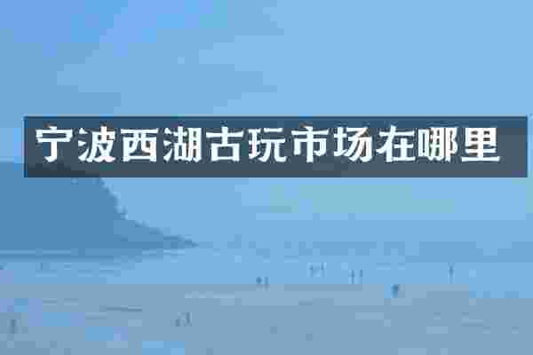 宁波西湖古玩市场在哪里