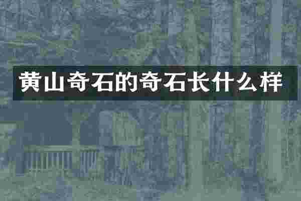 黄山奇石的奇石长什么样