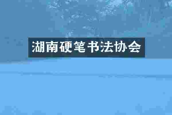 湖南硬笔书法协会