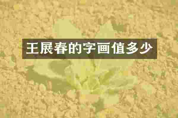 王展春的字画值多少