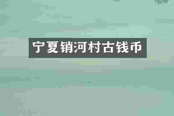 宁夏销河村古钱币