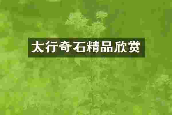 太行奇石精品欣赏