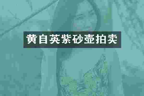 黄自英紫砂壶拍卖