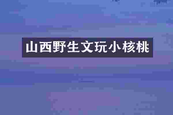 山西野生文玩小核桃