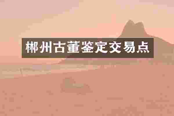 郴州古董鉴定交易点