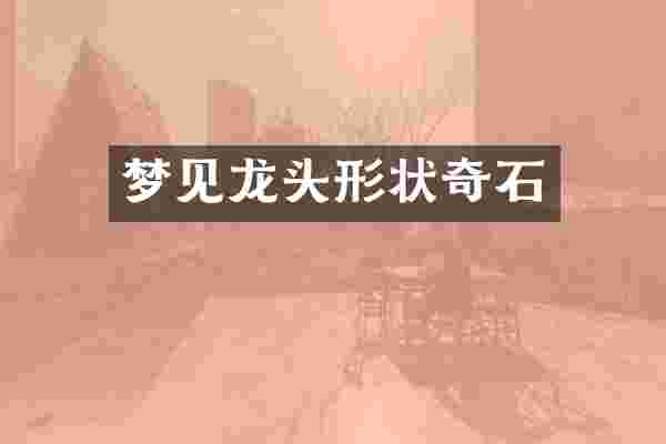 梦见龙头形状奇石