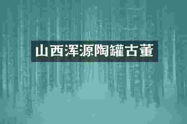 山西浑源陶罐古董