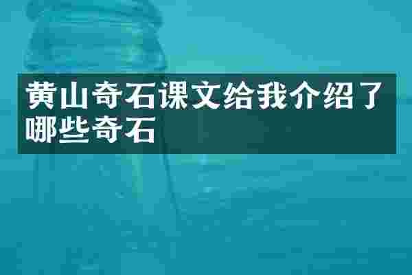 黄山奇石课文给我介绍了哪些奇石