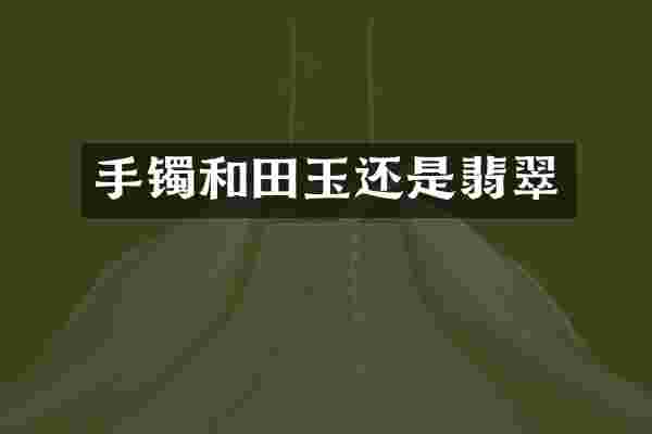 手镯和田玉还是翡翠
