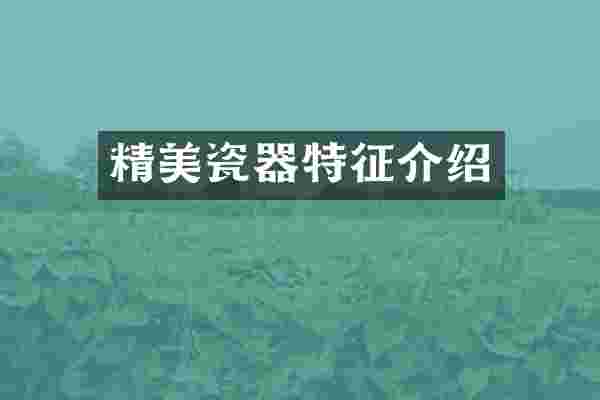 精美瓷器特征介绍