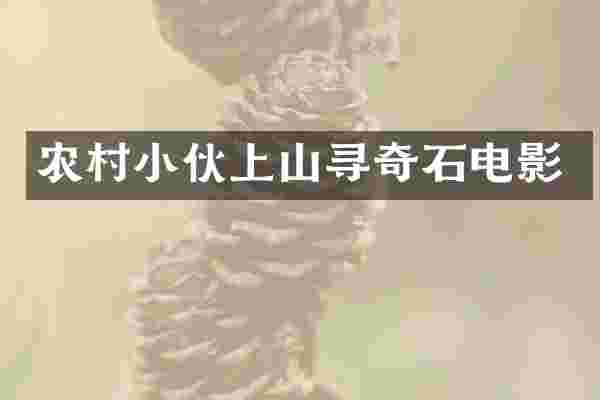 农村小伙上山寻奇石电影