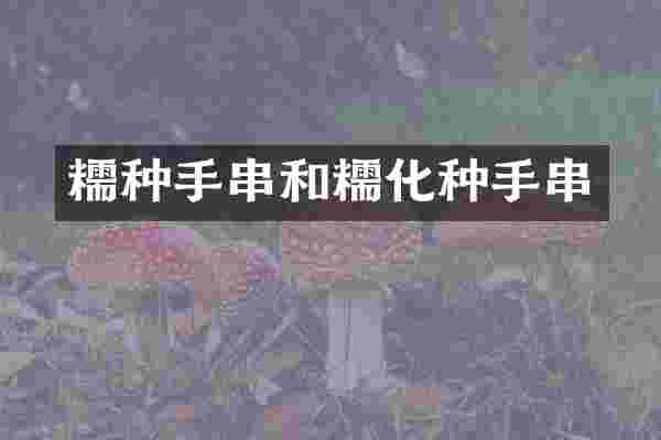 糯种手串和糯化种手串