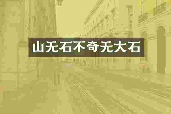 山无石不奇无大石