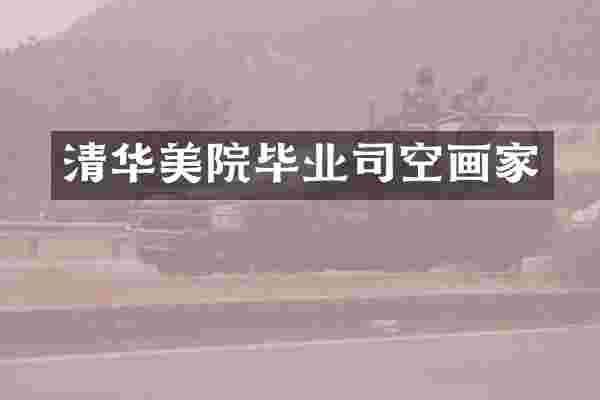 清华美院毕业司空画家