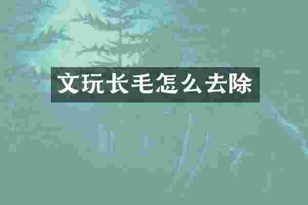 文玩长毛怎么去除