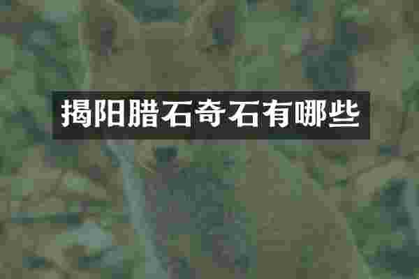 揭阳腊石奇石有哪些