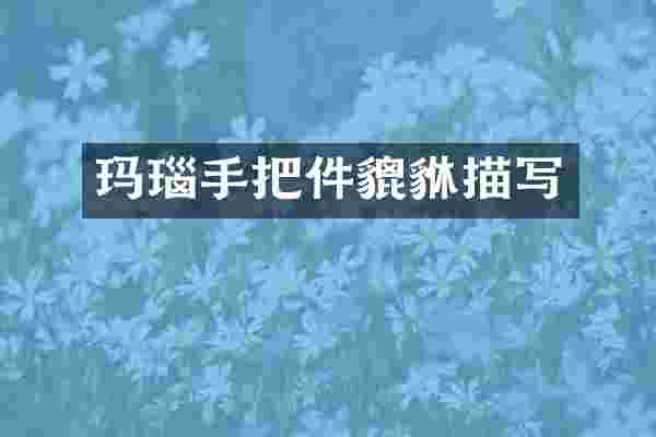 玛瑙手把件貔貅描写