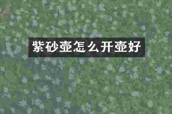 紫砂壶怎么开壶好