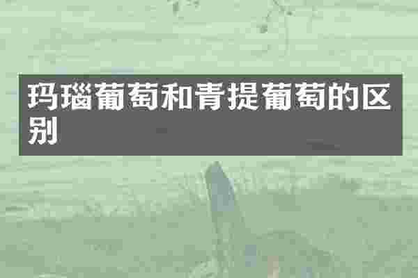 玛瑙葡萄和青提葡萄的区别