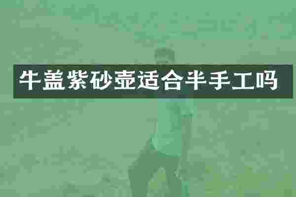 牛盖紫砂壶适合半手工吗