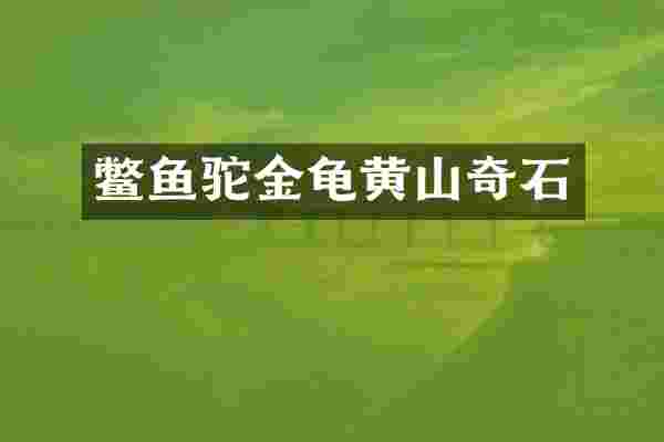 鳖鱼驼金龟黄山奇石
