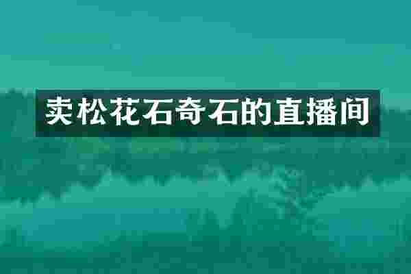 卖松花石奇石的直播间
