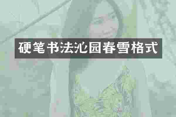 硬笔书法沁园春雪格式