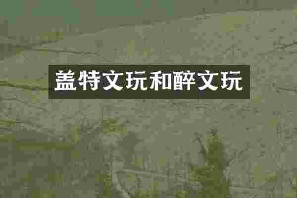 盖特文玩和醉文玩