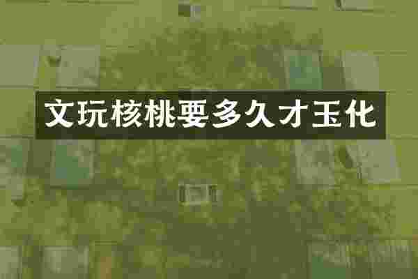 文玩核桃要多久才玉化