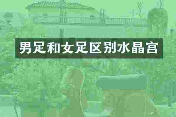 男足和女足区别水晶宫