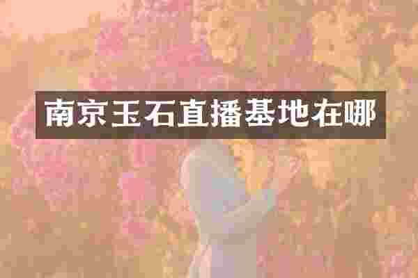 南京玉石直播基地在哪