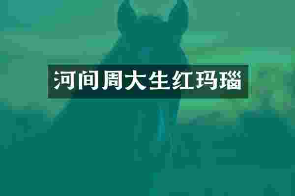 河间周大生红玛瑙