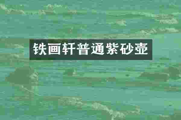 铁画轩普通紫砂壶