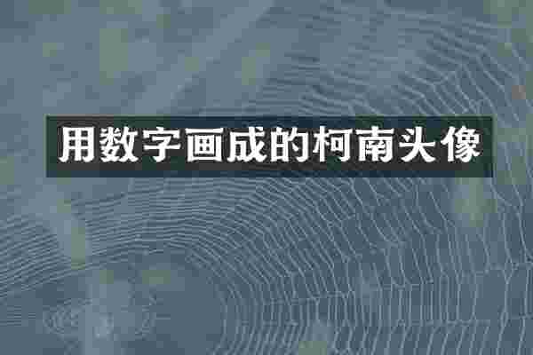 用数字画成的柯南头像