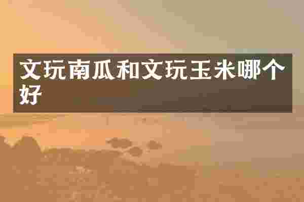 文玩南瓜和文玩玉米哪个好