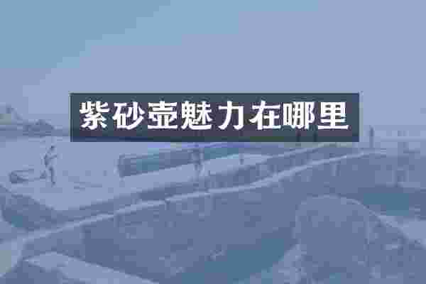 紫砂壶魅力在哪里