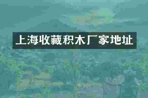 上海收藏积木厂家地址