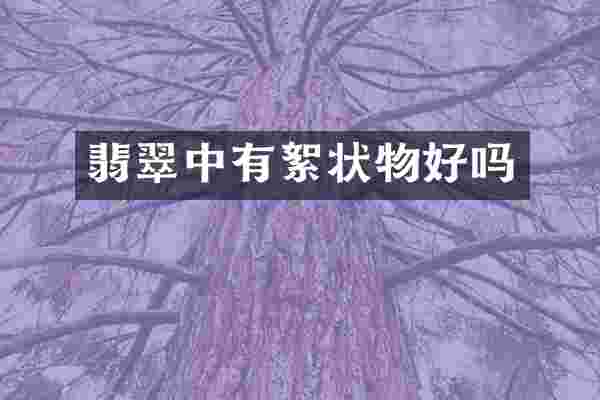 翡翠中有絮状物好吗