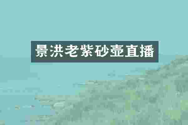 景洪老紫砂壶直播