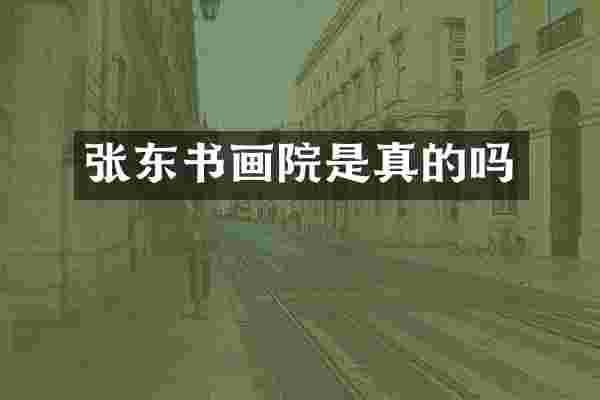 张东书画院是真的吗