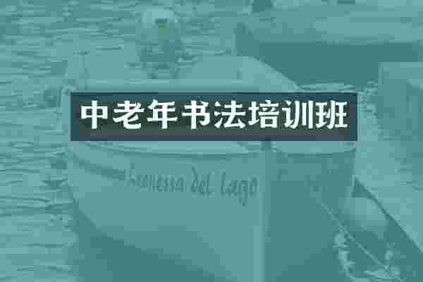 中老年书法培训班