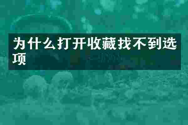 为什么打开收藏找不到选项